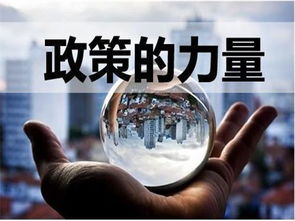 軟件技術(shù)服務(wù)行業(yè)合理避稅操作指南